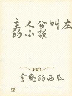 主人公叫左开宇的小说