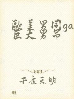 欧美男同gay巨大男吊