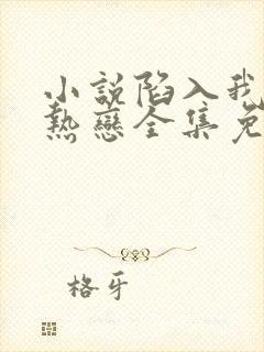 小说陷入我们的热恋全集免费阅读封面