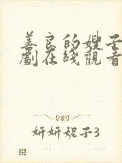 善良的嫂子2韩剧在线观看封面