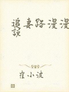 追妻路漫漫的小说