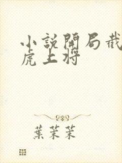 小说开局截胡五虎上将封面