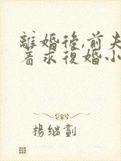 离婚后,前夫哭着求复婚小说免费阅读原文