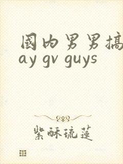 国内男男搞基gay gv guys