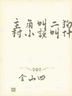 主角叫二狗的乡村小说叫什么封面