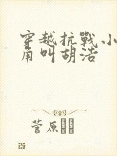 穿越抗战小说主角叫胡浩封面