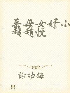 岳母女婿小说陈超赵悦