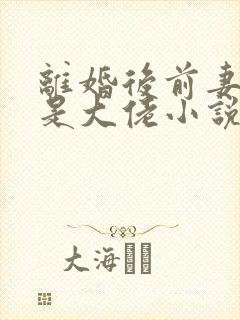 离婚后前妻竟然是大佬小说