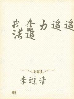 我奋力追追到无法追