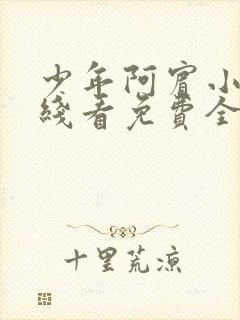 少年阿宾小说在线看免费全文无弹窗