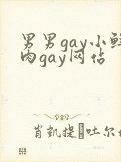 男男gay小鲜肉gay网站