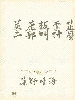 菜老板李芷珊第二部叫什么