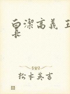 白洁高义 王局长