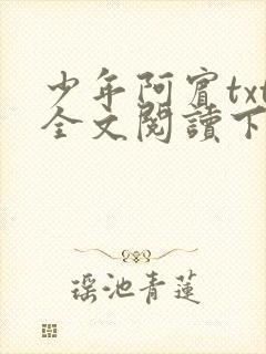 少年阿宾txt全文阅读下载