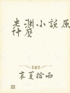 光渊小说原著叫什么封面