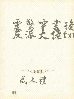 震惊穿书后娶了反派大佬txt