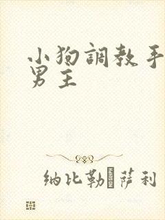 小狗调教手册双男主