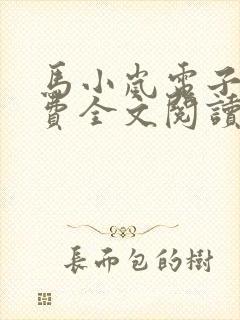 马小岚电子书免费全文阅读
