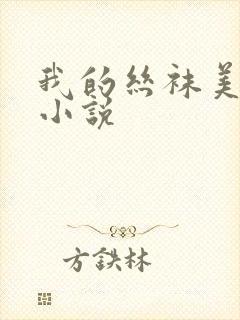 我的丝袜美熟母小说
