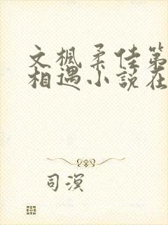 文枫柔佳第一次相遇小说在线阅读