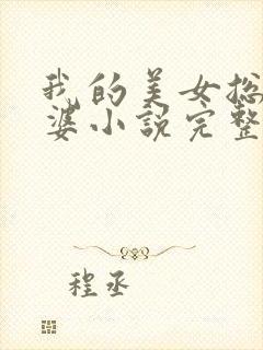 我的美女总裁老婆小说完整版封面