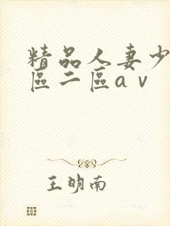 精品人妻少妇一区二区aⅴ