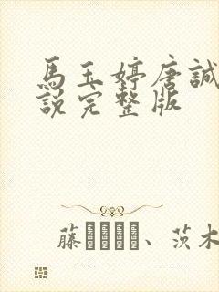 马玉婷唐诚的小说完整版封面