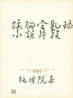 揉胸含乳舔下面小说片段封面