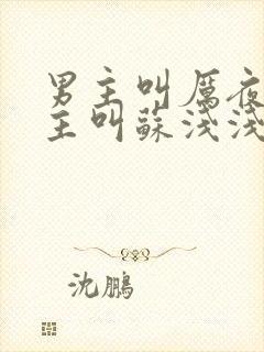 男主叫厉夜霆女主叫苏浅浅的小说