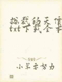 总裁的天价前妻txt下载全本封面