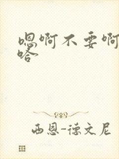 嗯啊不要啊啊啊哈封面