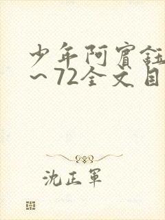 少年阿宾钰慧1～72全文目录免费阅读