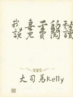 我妻子的秘密小说免费阅读