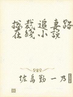 总裁追妻路漫漫在线小说