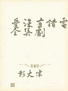 爱没有错电视剧全集剧