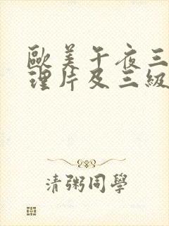 欧美午夜三级伦理片及三级小说封面