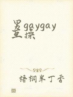 男gaygay互操