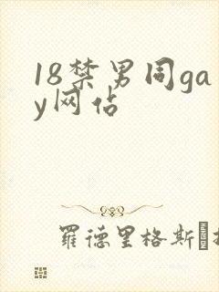 18禁男同gay网站