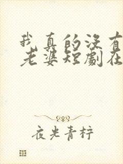 我真的没有七个老婆短剧在线观看