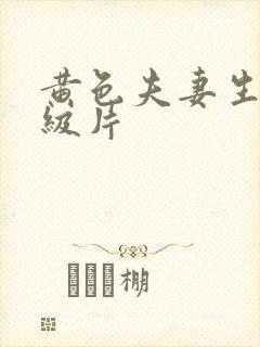 黄色夫妻生活一级片