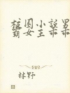 校园小说男主校霸女主乖乖女封面