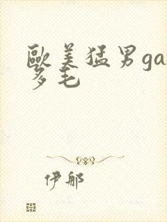 欧美猛男gay多毛封面