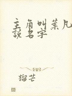 主角叫叶凡的小说名字