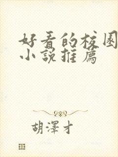 好看的校园言情小说推荐封面