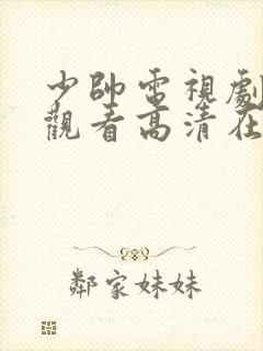 少帅电视剧免费观看高清在线播放