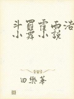 斗罗霍雨浩催眠小舞小说