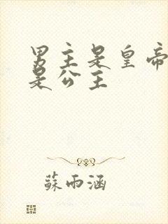 男主是皇帝女主是公主