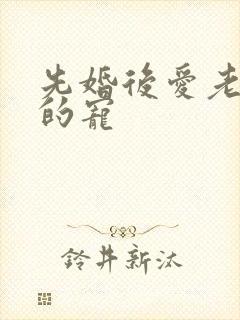 先婚后爱老公轻的宠