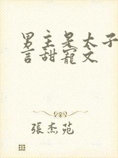 男主是太子的古言甜宠文