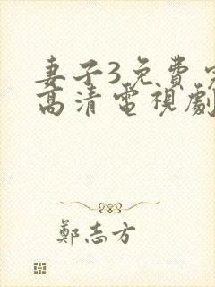 妻子3免费完整高清电视剧在线看